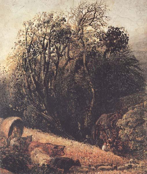 A Cornfield Bordered by Trees, Samuel Palmer